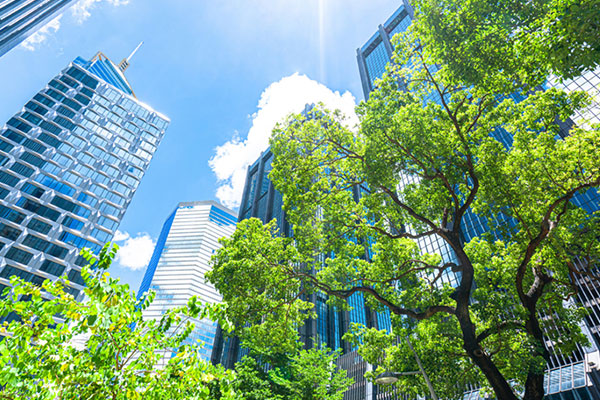 Low angle shot of a city with skyscrapers and trees on a sunny day