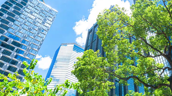 Low angle shot of a group of buildings surrounded by trees