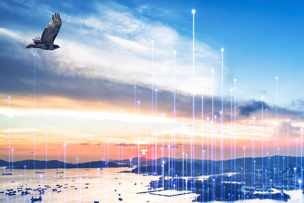 A bird flying outside the window of a corporate office building next to a lake
