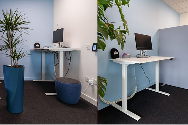 Pictured is a dedicated work  zone featuring two standing desks and neutral paint colours. With dimmable lighting, plants, partitions, and noise-cancelling headphones, employees have a quiet space to complete focused work, free from distractions.