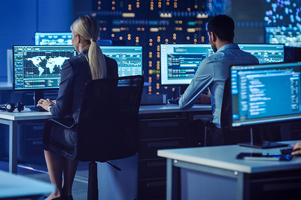 Employees working on their computers
